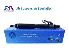 TMAIRSUS LINCOIN MKS MKT Задняя часть с электрическим амортизатором ASH-24428