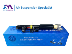 TMAIRSUS Lincoln MKZ Задний амортизатор ASSY 1015620-00-A