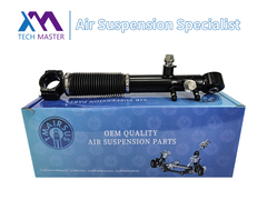 Технический мастер TMAIRSUS Задний амортизатор для Lexus GX460 48885-60030