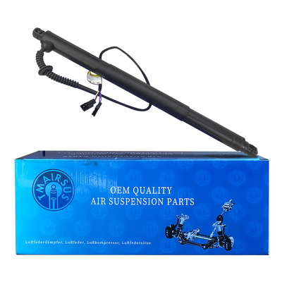 OEM Автоматический 51247332697 51247332698 для X6 E71 2007-2014 Электрический задней крышкой