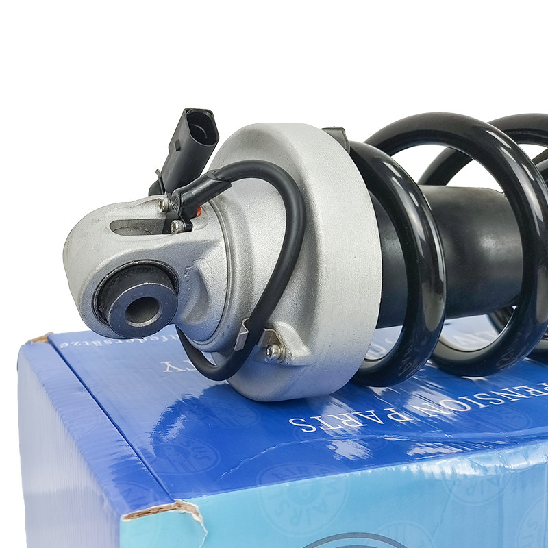 Автомобильные амортизаторы Audi R8 420412019AG 420412020AG Передние амортизаторы
