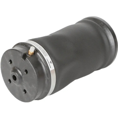 Задние воздушные шары 1643200625 W164 ML350 ML500