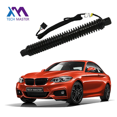 Поддержка подъемника BMW Liftgate для 7X0LI F02 51247185713 Автоматическая газовая пружина задней части