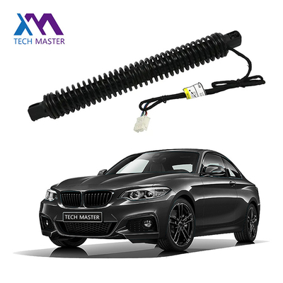 BMW Spindle Drive для 7X0LI F02 Электрическая подвеска 51247185714